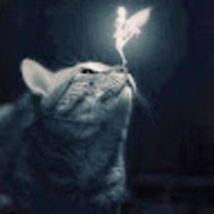 Meet your Posher, Louise